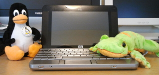 HP Mini 2133 with matching Gecko